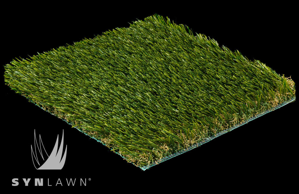 SYNZoysia-X49-SZX47-2b