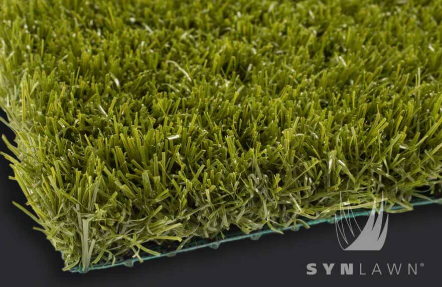 SYNLawn-SYNRye-200-01-881x573