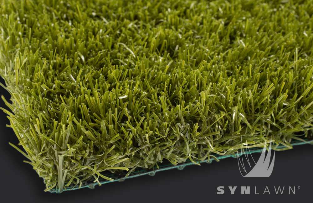 SYNLawn-SYNRye200-Roofdeck Platinum