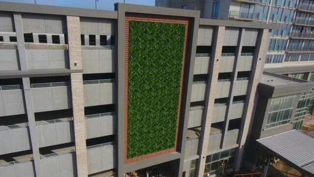 Synthetic grass wall