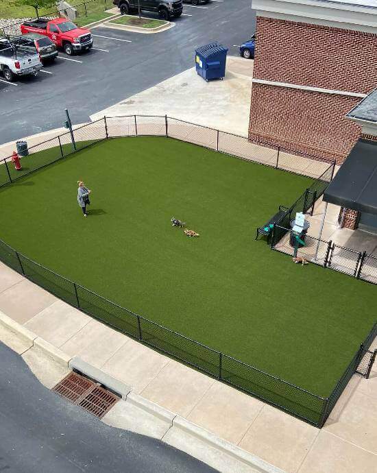 synlawn commercial artificial pet grass