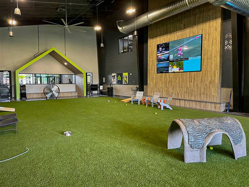 Indoor Artificial Grass Dog Park