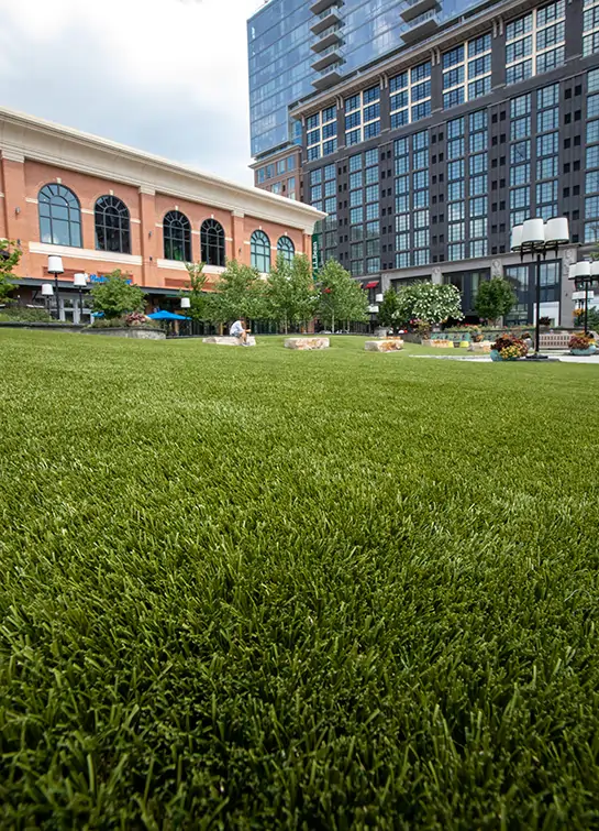 chesapeake-bay-commercial-artificial-grass