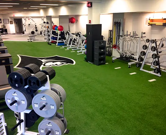 Athletic turf installed by SYNLawn for commercial gym