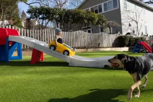 family playing on artificial grass lawn